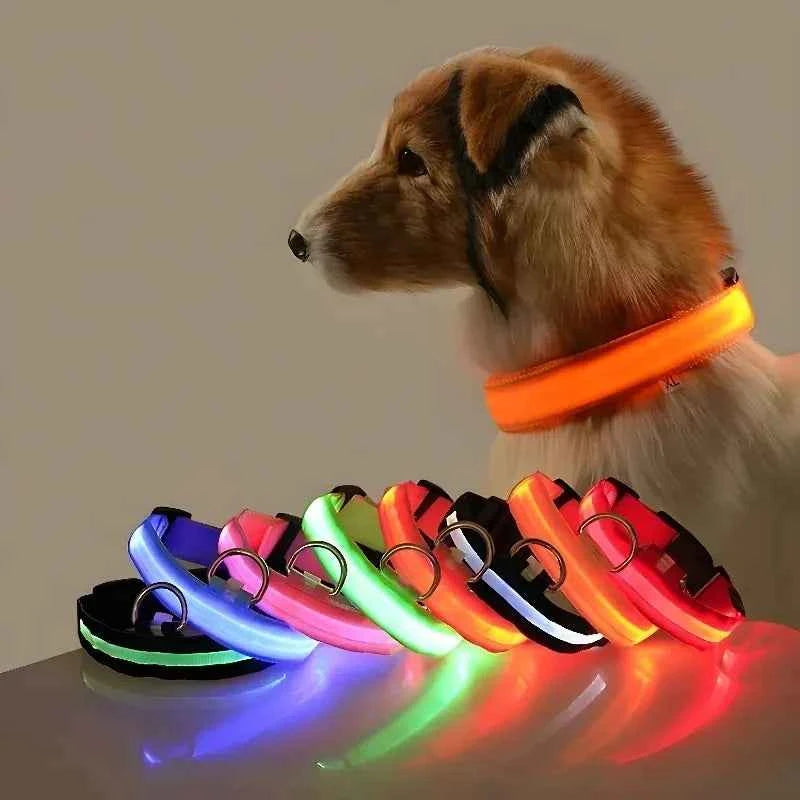 Anti-lost Led Luminous Dog Collar Pet Supplies