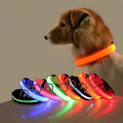 Anti-lost Led Luminous Dog Collar Pet Supplies