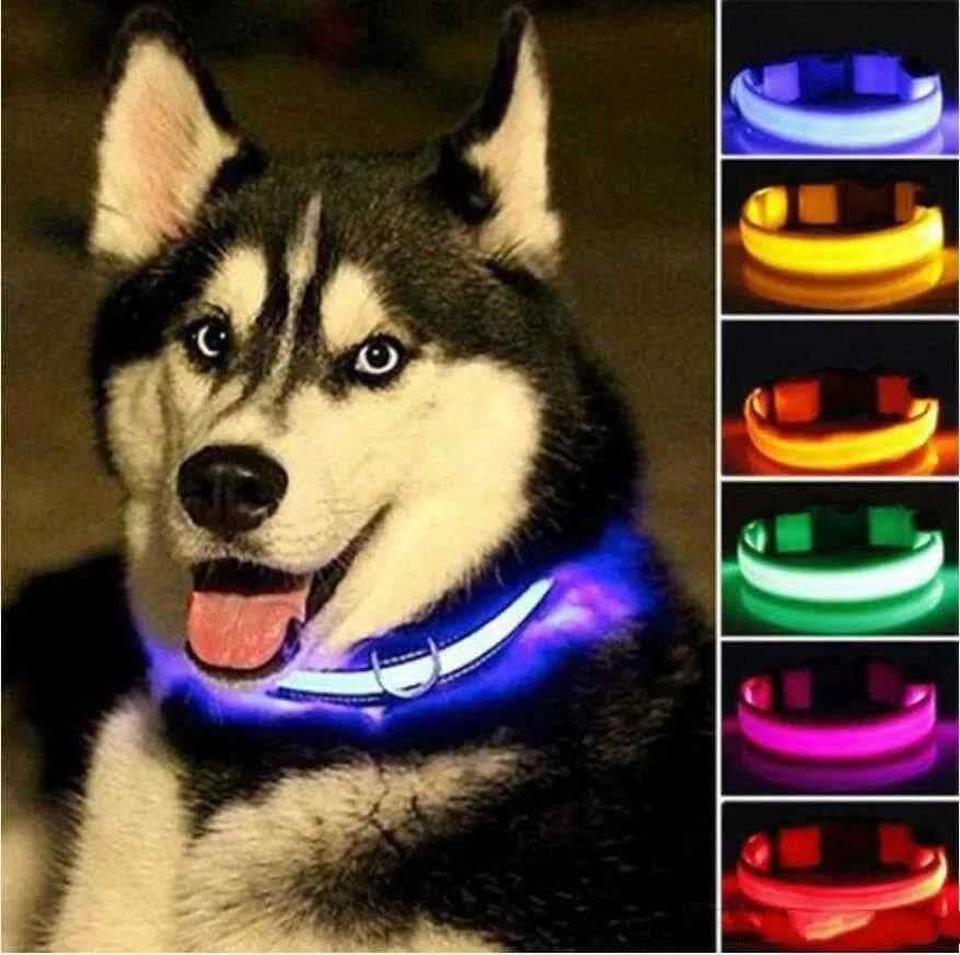 Anti-lost Led Luminous Dog Collar Pet Supplies